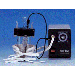 a(chn)Ʒõζؼӟb